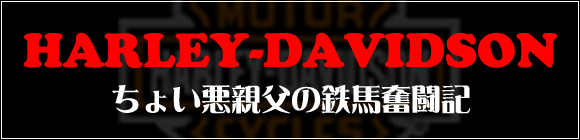 ちょい悪親父の鉄馬奮闘記